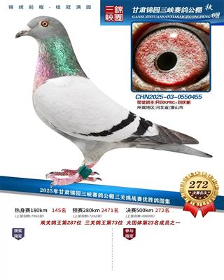 25�����԰����272��