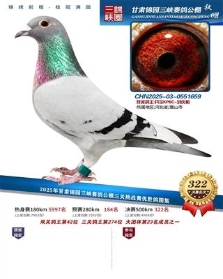 25�����԰����322��