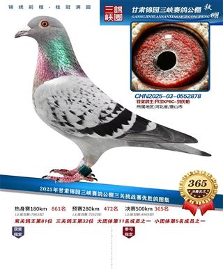 25�����԰����365��