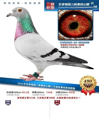 25�����԰����490��