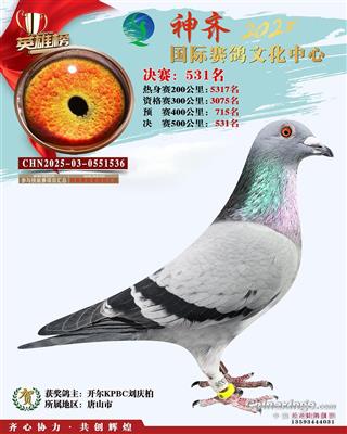 25����ɽ���������531��