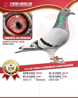 25������y���Qِ318��