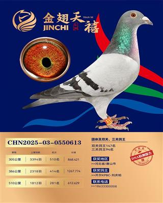 25��������������281��