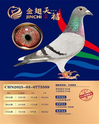 25�����������Qِ599��