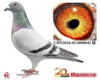 ŷ�����ʸ��׵�