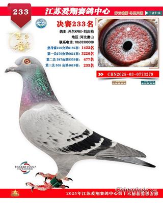 25���ｭ�K��(��i)��Qِ233��