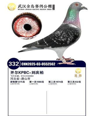 25������h���u�Qِ332��