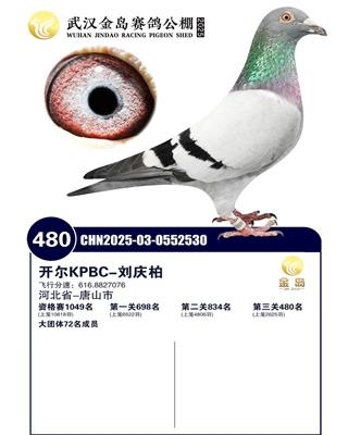 25������h���u�Qِ480��