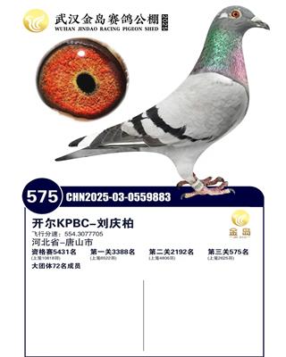 25������h���u�Qِ575��