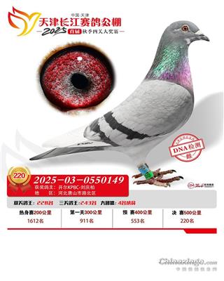 25��������L(zh��ng)���Qِ220��