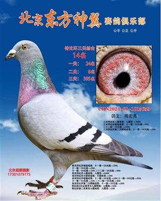 ˫�ظ�������