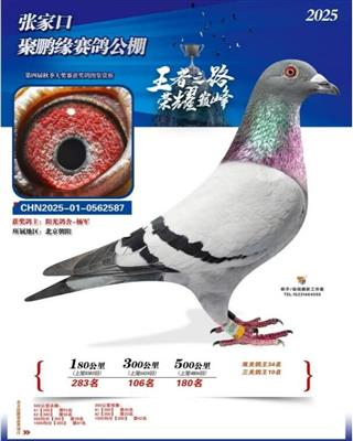 ����Ե����ʮ