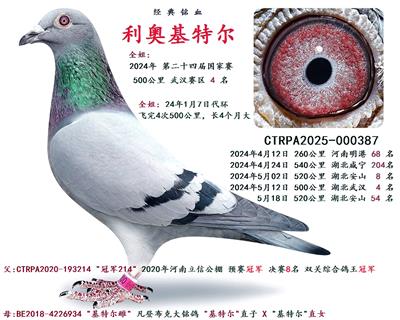 ���»��ض�