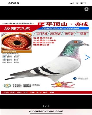 ����72�������ۣ�