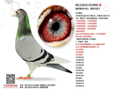 �ٶȻ��ض�982�����ض�ֱ��