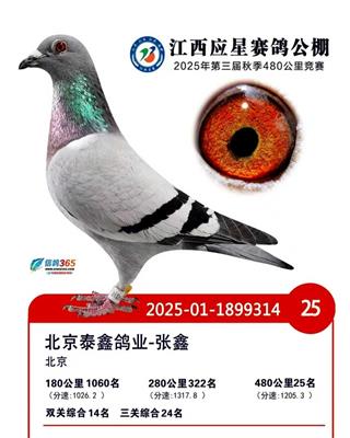 ����Ӧ�Ǿ���25��