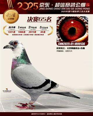 �������Ź������65��