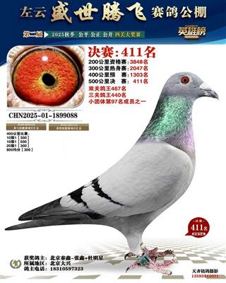 ����ʢ���ڷ����빫�����411��