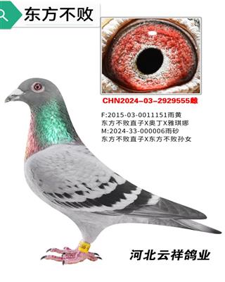 ��������006ֱŮ555