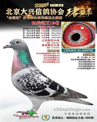 ���ݱ��Ĺظ���19��