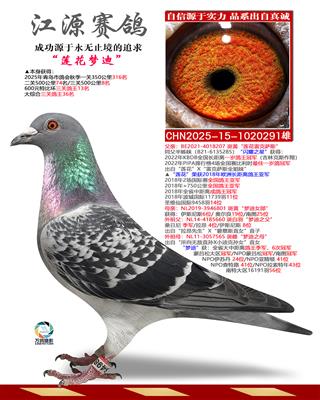 �����ε�-����