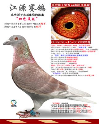 ��ɫ����-����