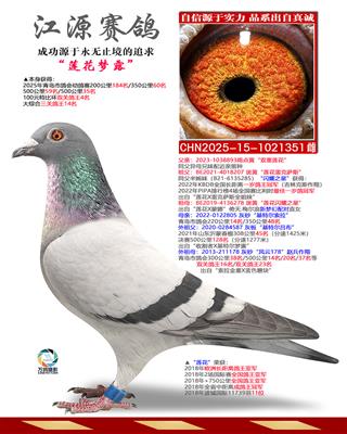 ������¶-����