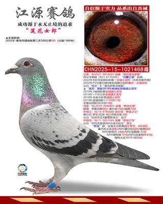 ����Ů��-����