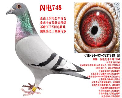 ɣ��ʿ ����748