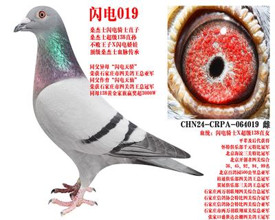 ɣ��ʿ ����019