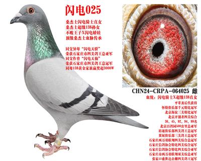 ɣ��ʿ ����025