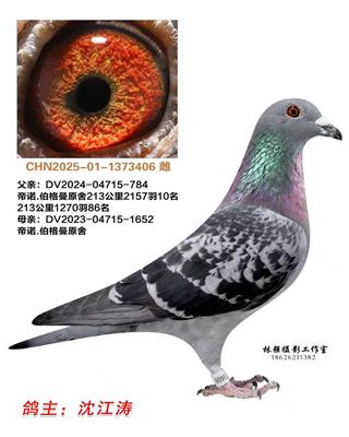 ������406