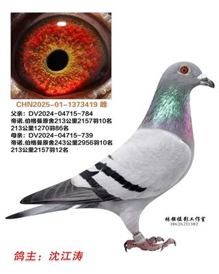 ������419