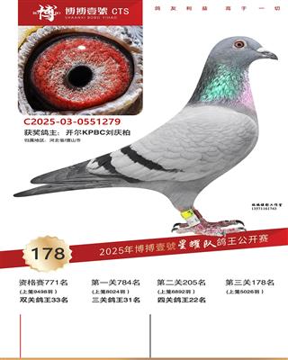 25���ﲩ����ҫ�Ĺظ���22������178