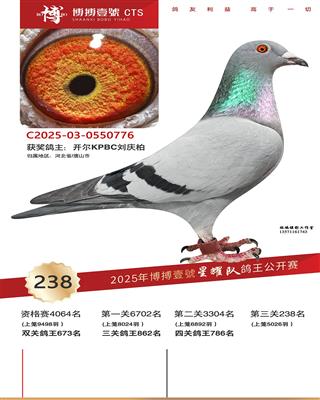 25���ﲩ����ҫ�Ӿ���238��