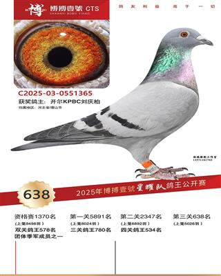 25���ﲩ����ҫ�Ӿ���638��