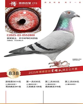 25���ﲩ����ҫ�Ӿ���838��