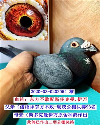 ������-����