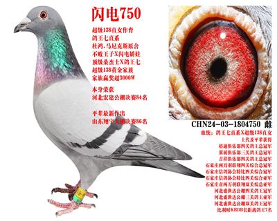 ɣ��ʿ ����750