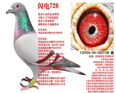 ɣ��ʿ ����726