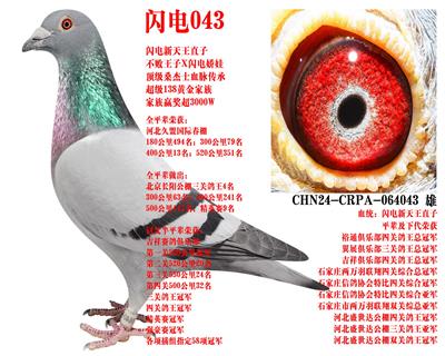 ɣ��ʿ ����043