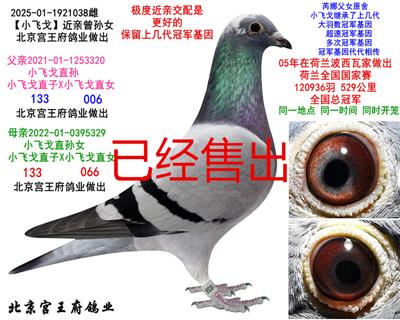 ���ȡ�С�ɸ꡿����Ů