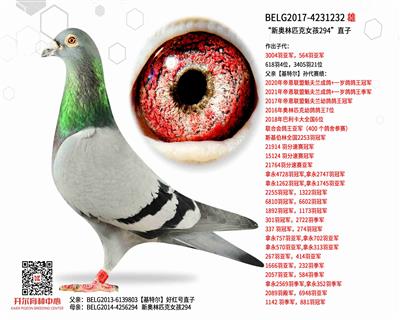 ���°���ƥ��Ů��294��ֱ��