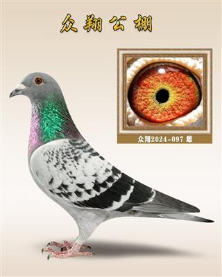 ������097��