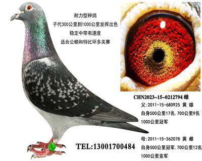 ���ά�� ǧ����