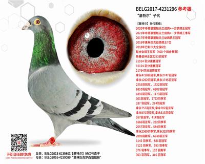 �����ض����Ӵ�