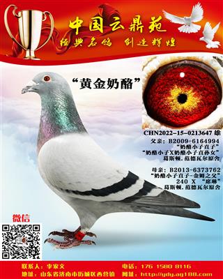 �ƽ�����