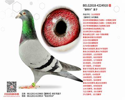 �����ض���ֱ��