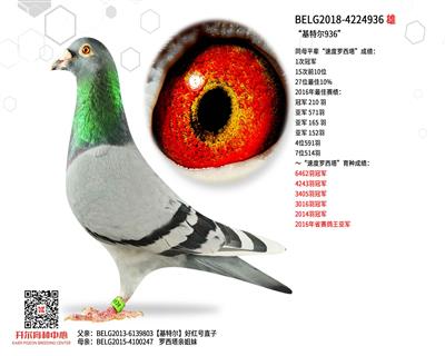 �����ض�936��