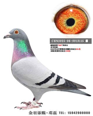 2025�����в���������Ĺ��ۺ�201��